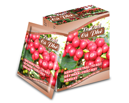 Phân bón to trái cây cà phê
