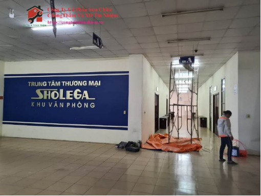 Tòa nhà Sholega 275 Lạch Tray
