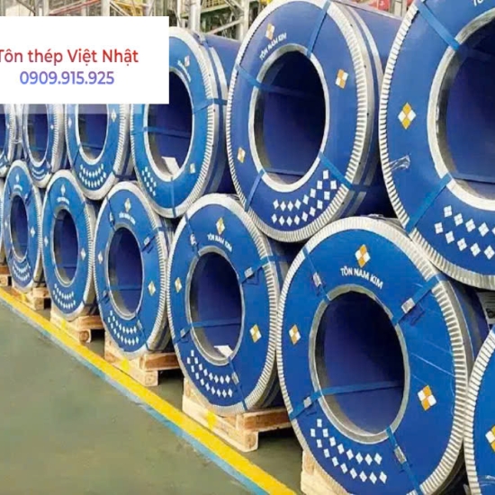 Tôn Việt Nhật