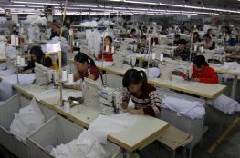 Đại lý chính thức của các thương hiệu Siruba, Jack