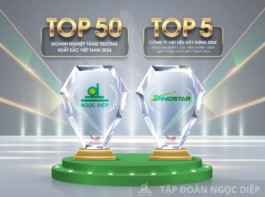 TOP 50 doanh nghiệp tăng trưởng xuất sắc Việt Nam 2024