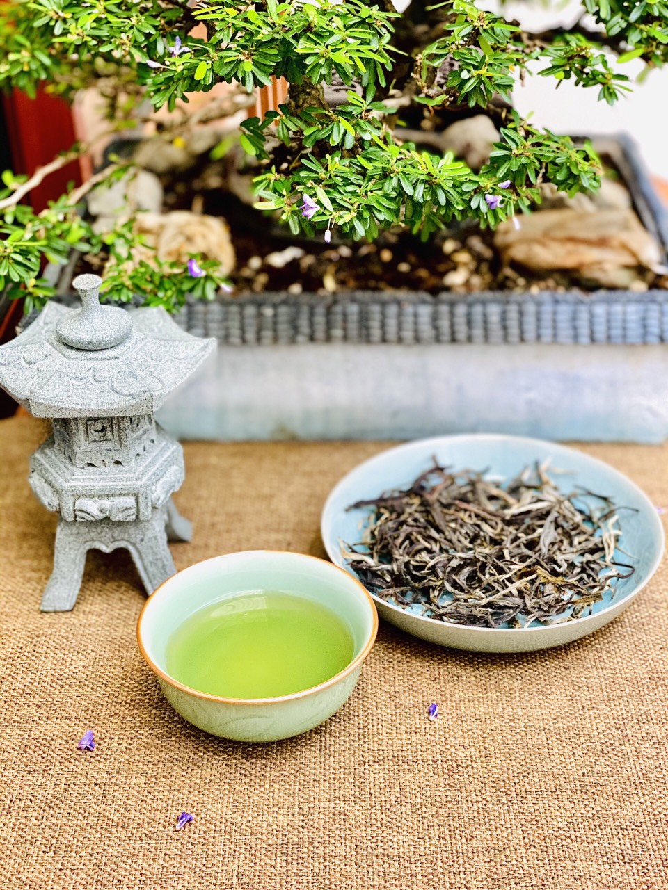 Trà phổ nhĩ