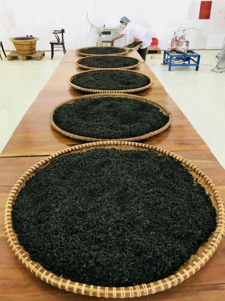 Trà xuất khẩu