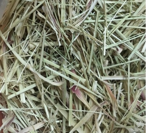 Trà sả sấy khô