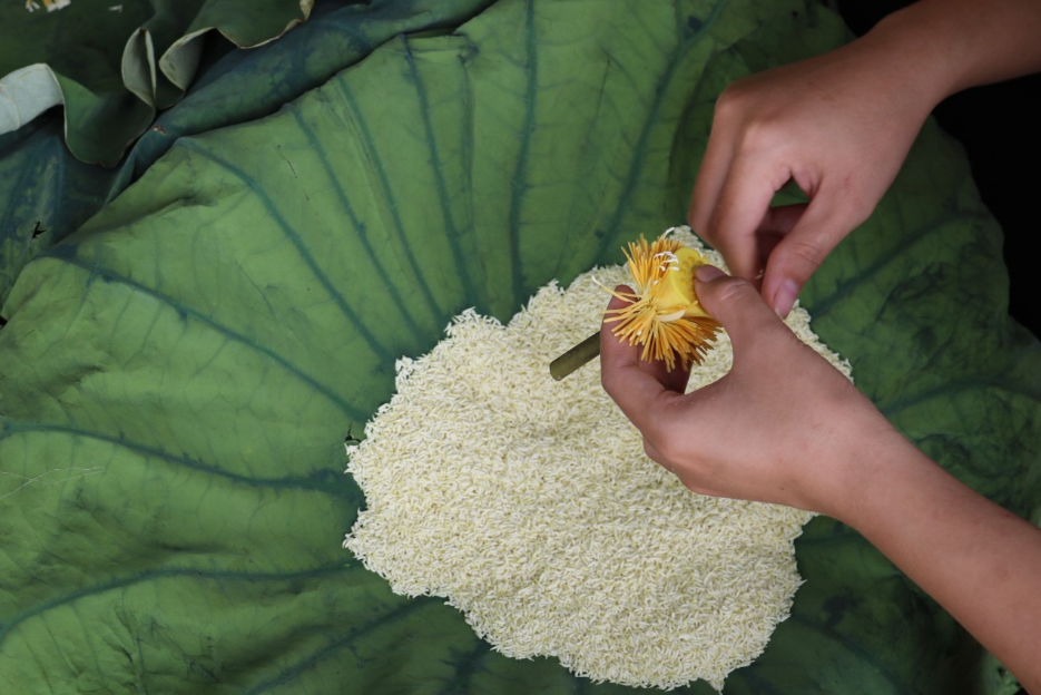 Trà ướp gạo sen