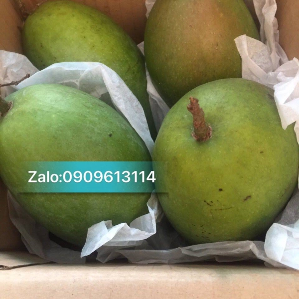 Khổ qua sấy