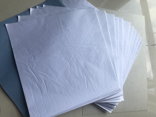 Thanh long trắng sấy