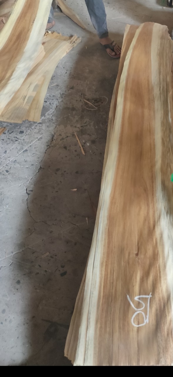Ván lạng gỗ tràm