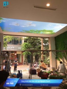 Trần spa