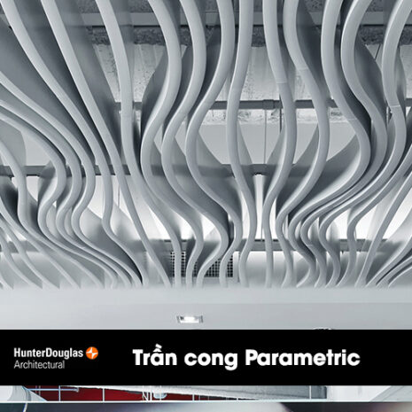 Trần cong Parametric