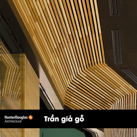 Trần giả gỗ