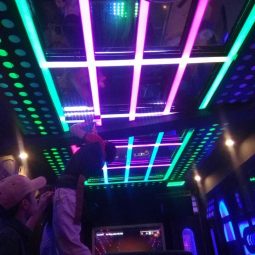 Trang trí led full