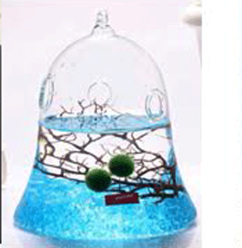 Thủy tinh mỹ nghệ