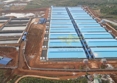 Trang trại Thọ Khang 48.000 thịt JAPFA