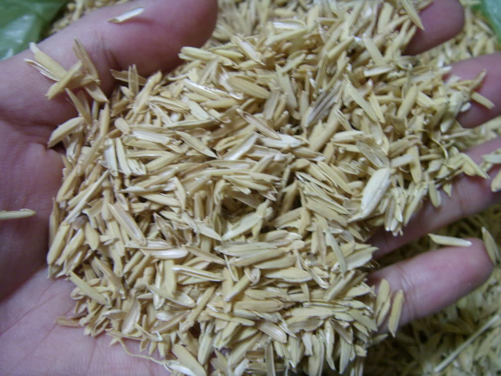 Trấu rời