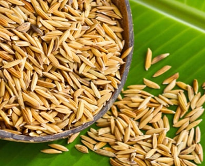 Trấu