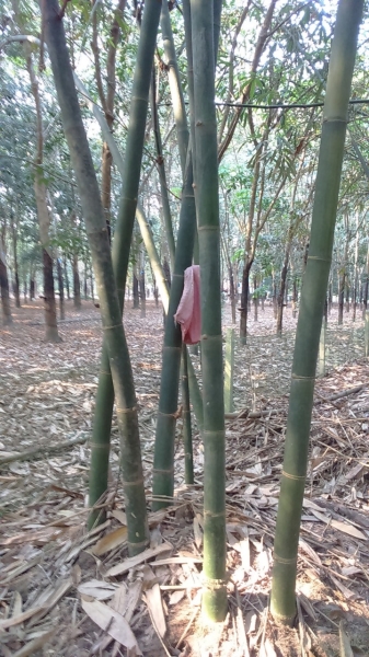 产品与服务