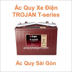 Bìn ắc quy xe điện Trojan