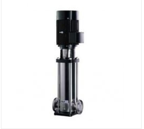Máy bơm trục đứng CNP