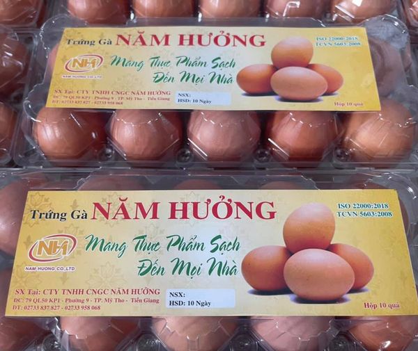 Bánh xe PP tải trung