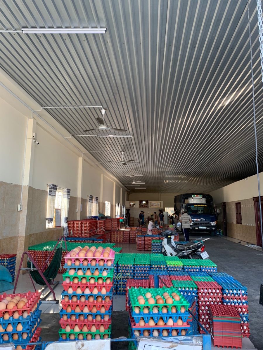 Máy biến áp 3 pha