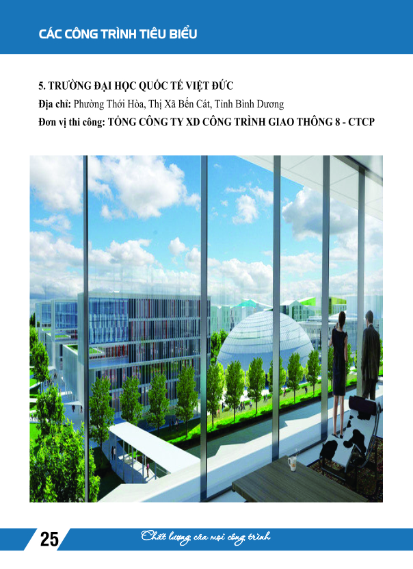 Trường Đại học quốc tế Việt Đức