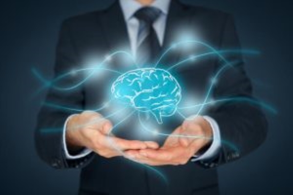 资质或荣誉图片