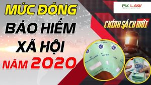 Tư vấn bảo hiểm xã hội