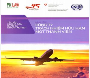 Thành lập CTY TNHH 1 thành viên