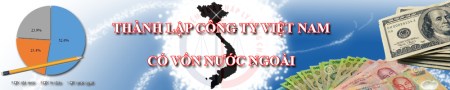 Tư vấn DN có vốn đầu tư nước ngoài