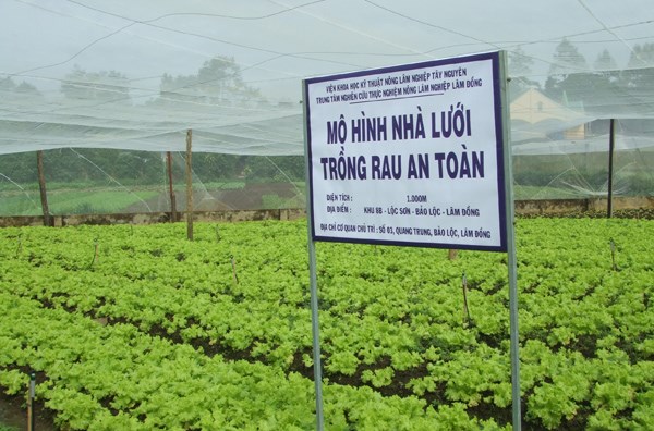 Tư vấn nông nghiệp