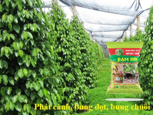 Tư vấnsử dụng phân bón hiệu quả