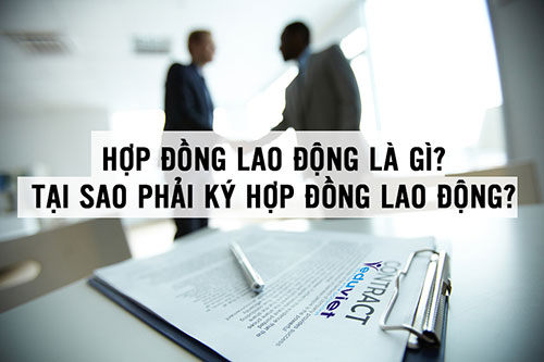 Tư vấn lao động