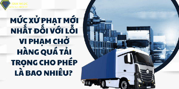 Tư vấn luật giao thông