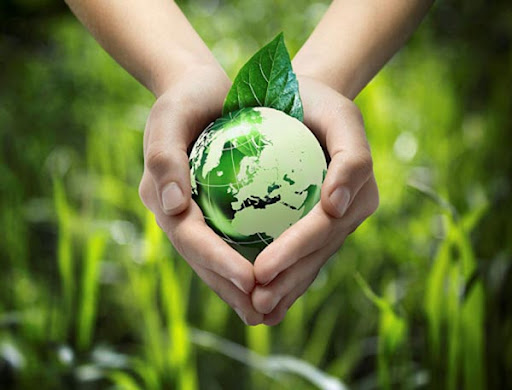 Tư vấn môi trường