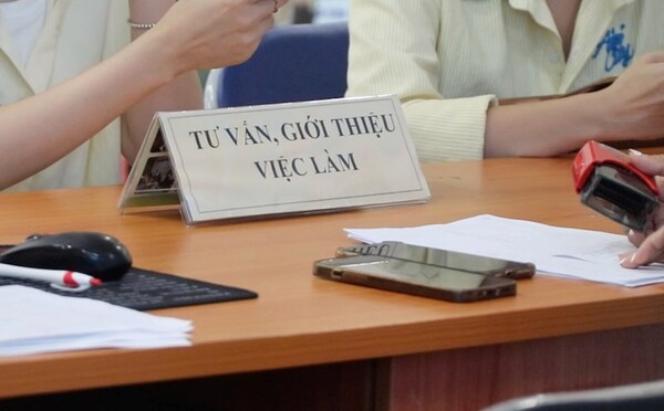 Tư vấn về giới thiệu việc làm