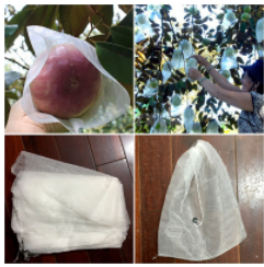Túi bọc vú sữa