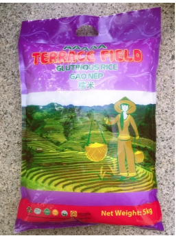 Túi gạo