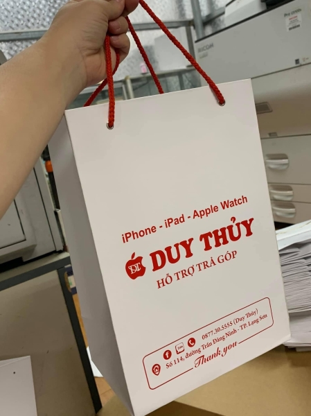 In ấn túi giấy