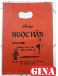 Túi hột xoài
