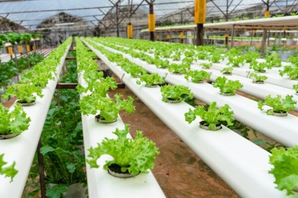 产品与服务