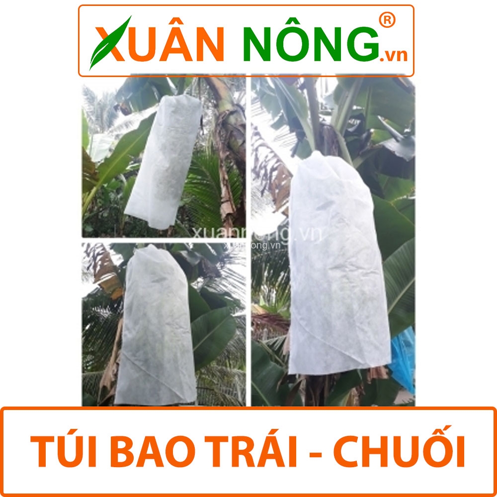 Túi bọc trái cây