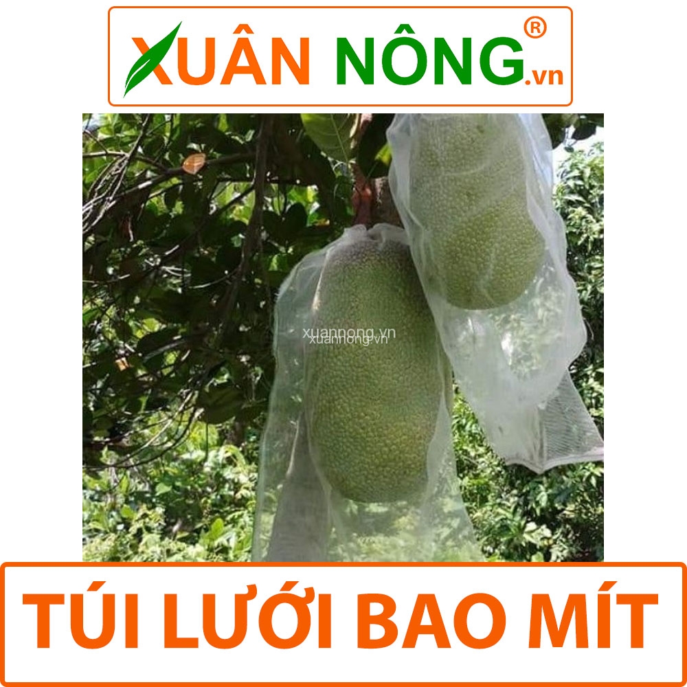 Túi bọc trái cây