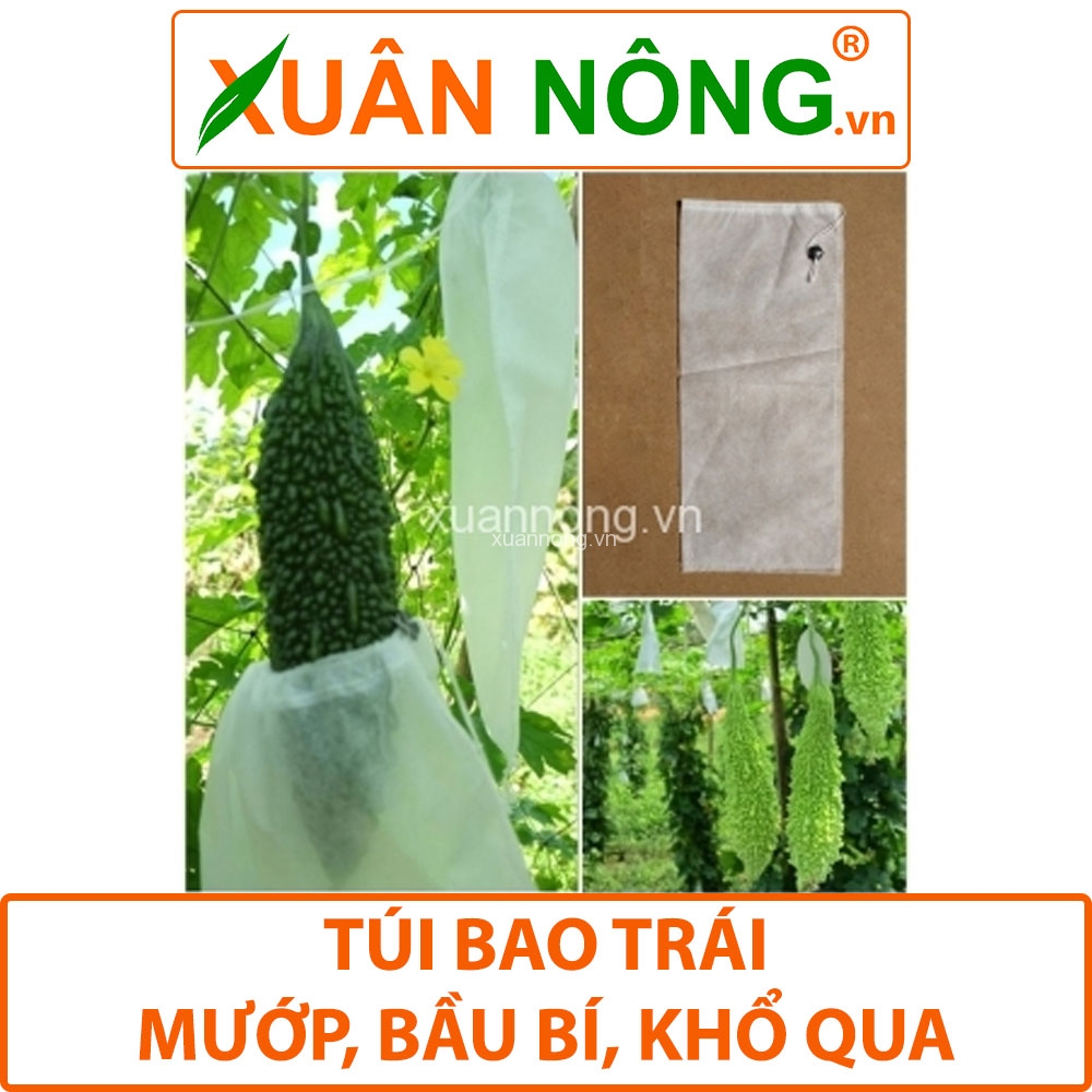 Túi bọc trái cây