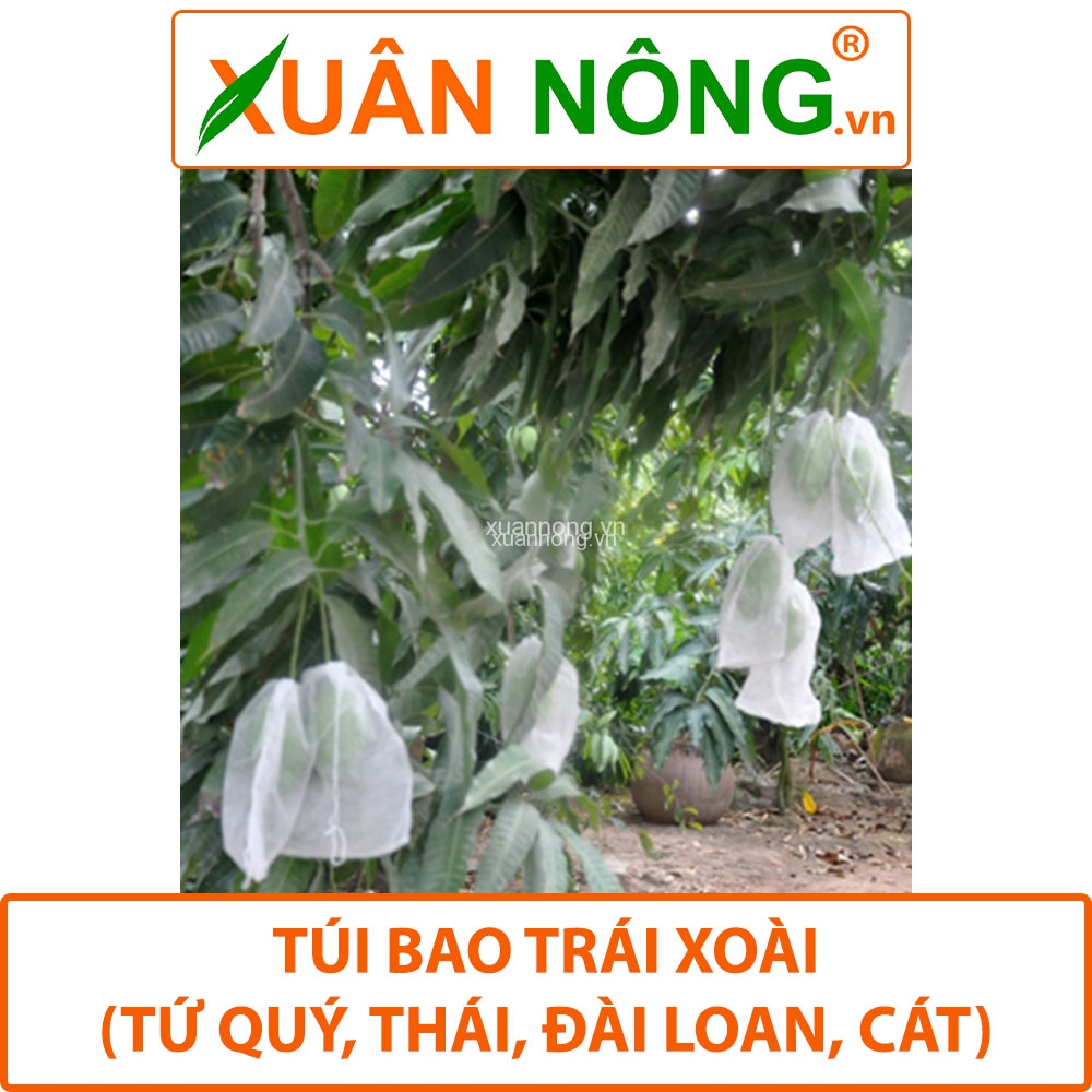 Túi bọc trái cây