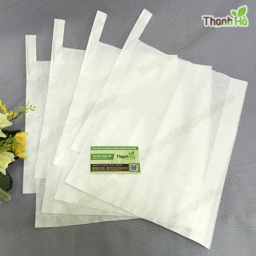 Túi giấy trắng bao bưởi