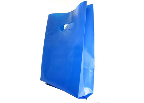 Túi hột xoài