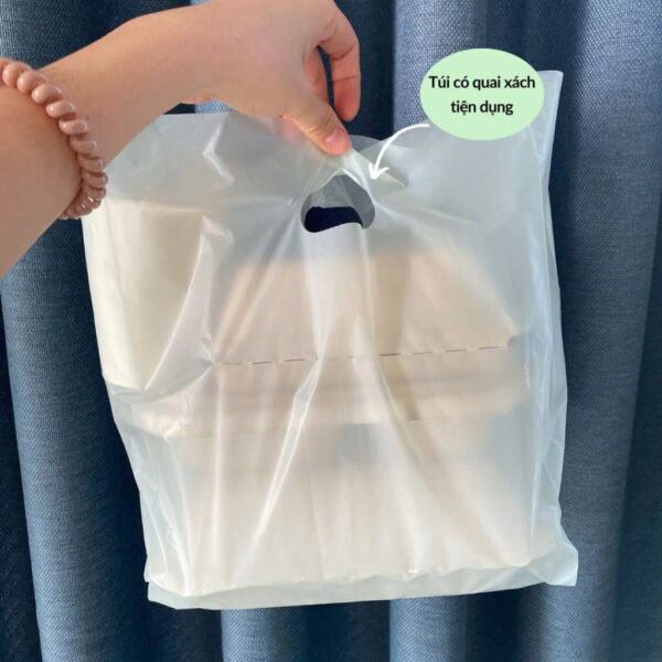 Túi hột xoài Biobased 100% compostable (1kg)