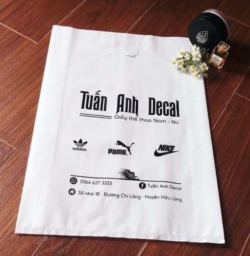 Túi hột xoài