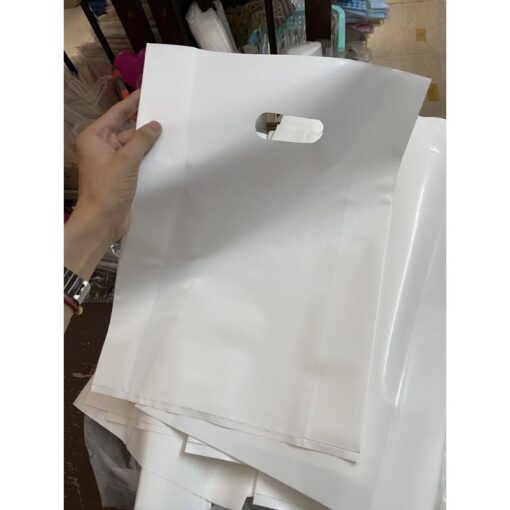 Túi hột xoài màu trắng